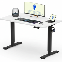 Neva X FlexiSpot Standing Desk ( Single Motor )