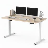 Neva X FlexiSpot Standing Desk ( Single Motor )