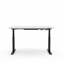 Standing Desk Pro (Dual Motor)