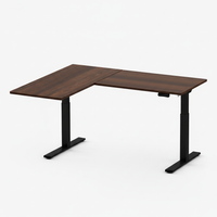 Neva X FlexiSpot L shape Standing Desk