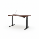 Standing Desk Pro (Dual Motor)