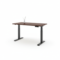 Standing Desk Pro (Dual Motor)