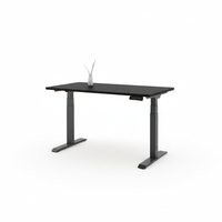 Standing Desk Pro (Dual Motor)