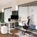 Neva X FlexiSpot Standing Desk Pro ( Dual Motor )