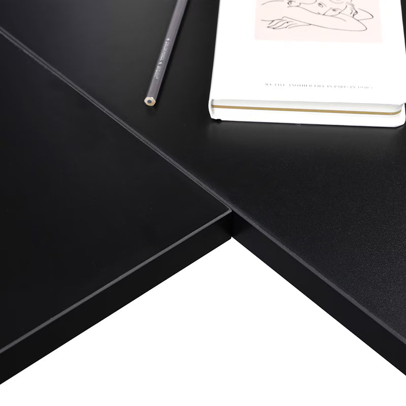 Neva X FlexiSpot L shape Standing Desk