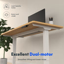 Neva X FlexiSpot Standing Desk Pro ( Dual Motor )