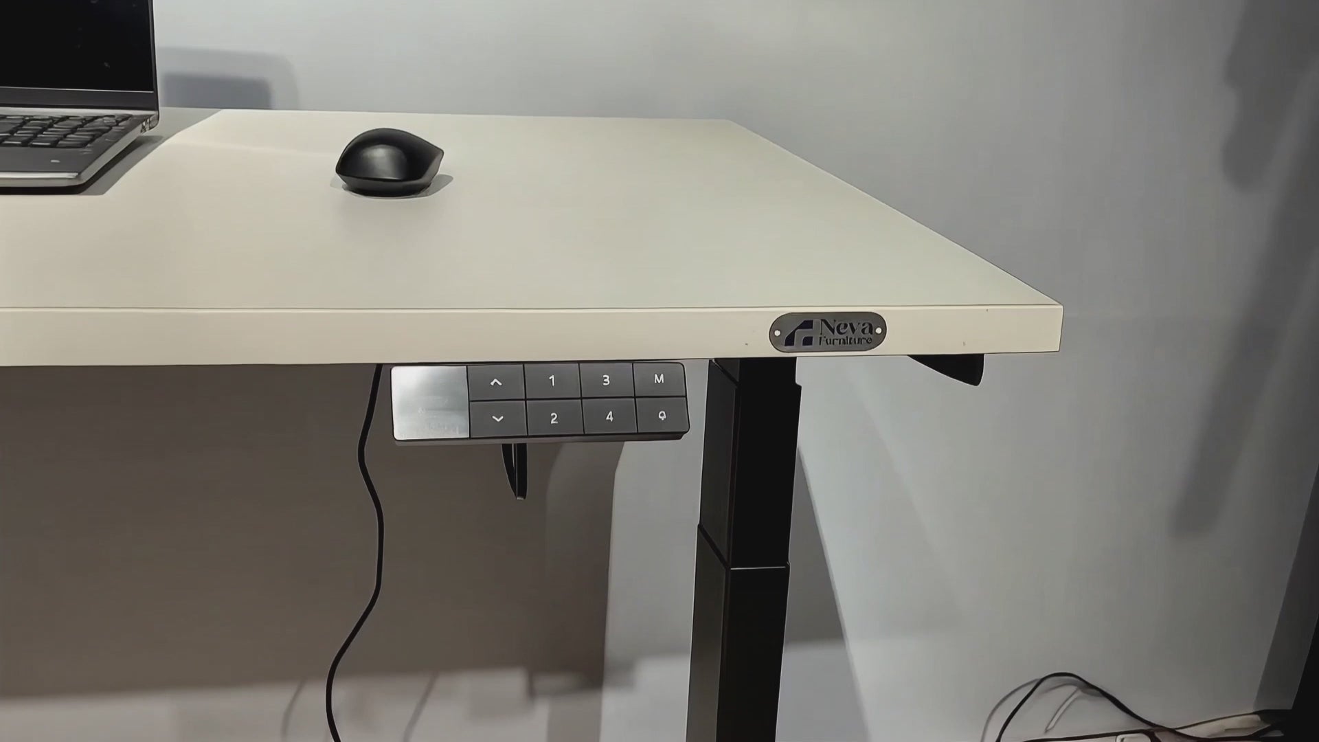 Standing Desk Pro (Dual Motor)