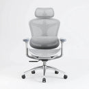 Sihoo A3 DORO-C100 Ergonomic Office Chair