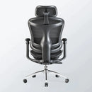 Sihoo A3 DORO-C100 Ergonomic Office Chair