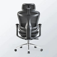 Sihoo A3 DORO-C100 Ergonomic Office Chair
