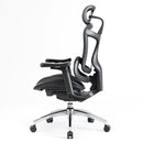Sihoo A3 DORO-C100 Ergonomic Office Chair